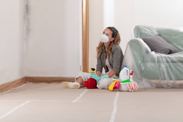 Reliable Basement Mold Removal contractor in Mont Clare, PA by WQB Mold Removal